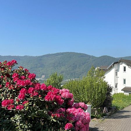 Ferienwohnung Rhein-Panorama Lahnstein Ngoại thất bức ảnh