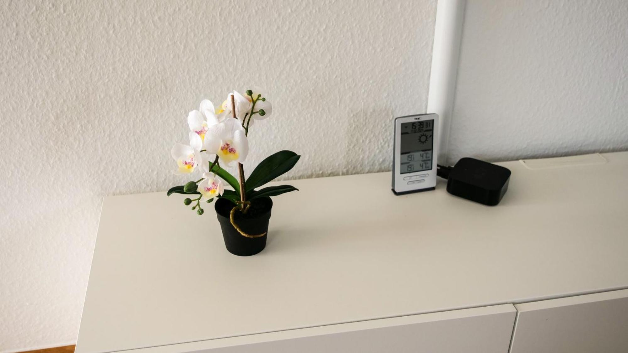 Ferienwohnung Rhein-Panorama Lahnstein Ngoại thất bức ảnh