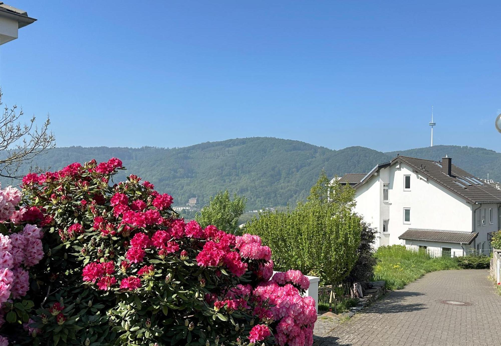 Ferienwohnung Rhein-Panorama Lahnstein Ngoại thất bức ảnh